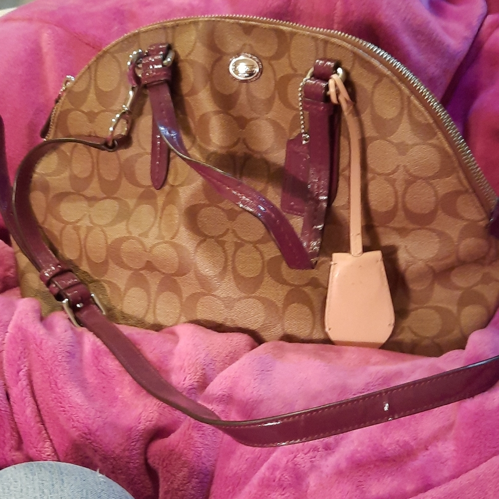 Coach dome bag